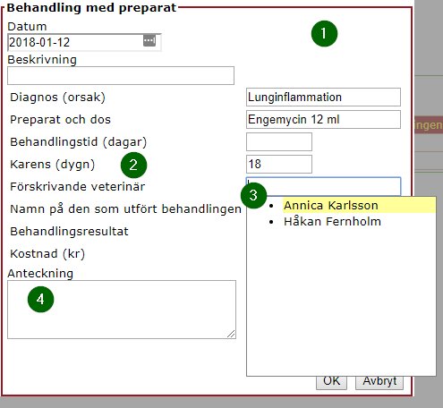 Bild från sidan Visning av AP Behandlingar med preparat