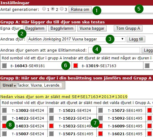 Bild från sidan Släktskapstest