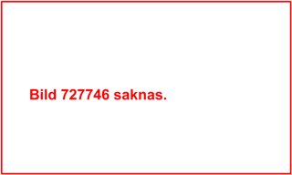 Foto av djuret